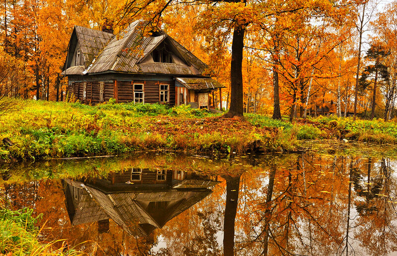 Old Wooden House — Orange