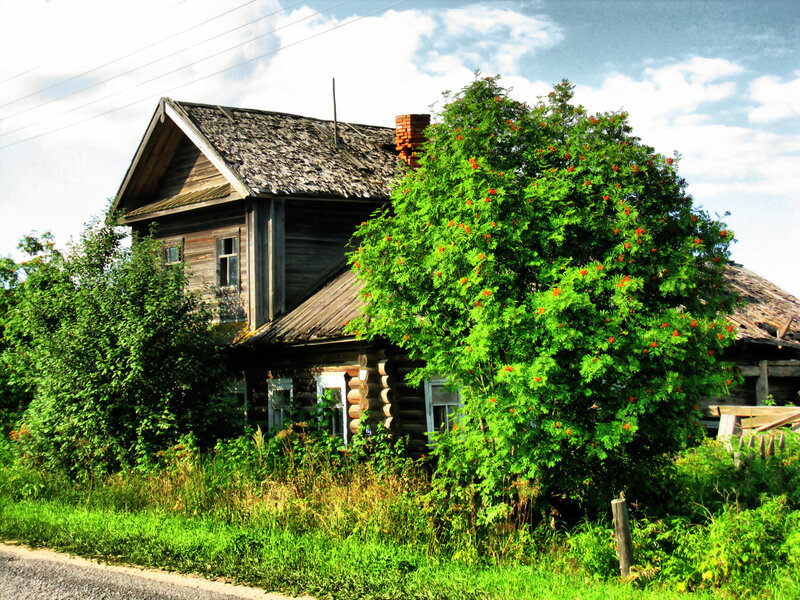 Old wooden house with overgrown garden