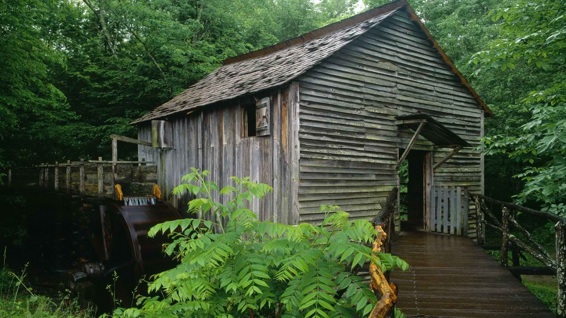 old wooden mill in forest