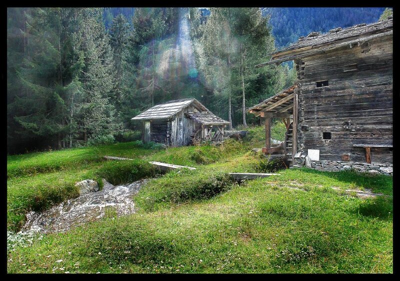 Old wooden mill in forest