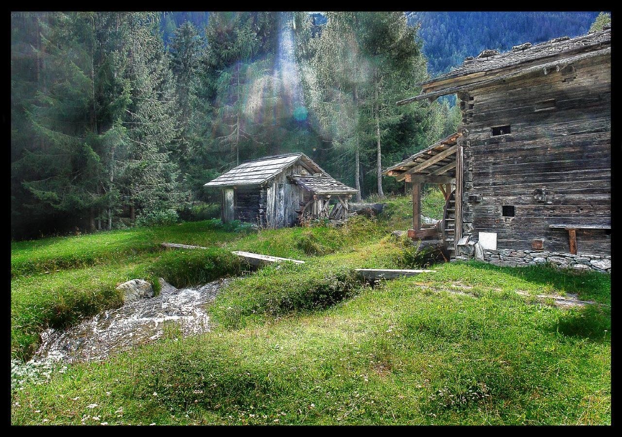 Old wooden mill in forest
