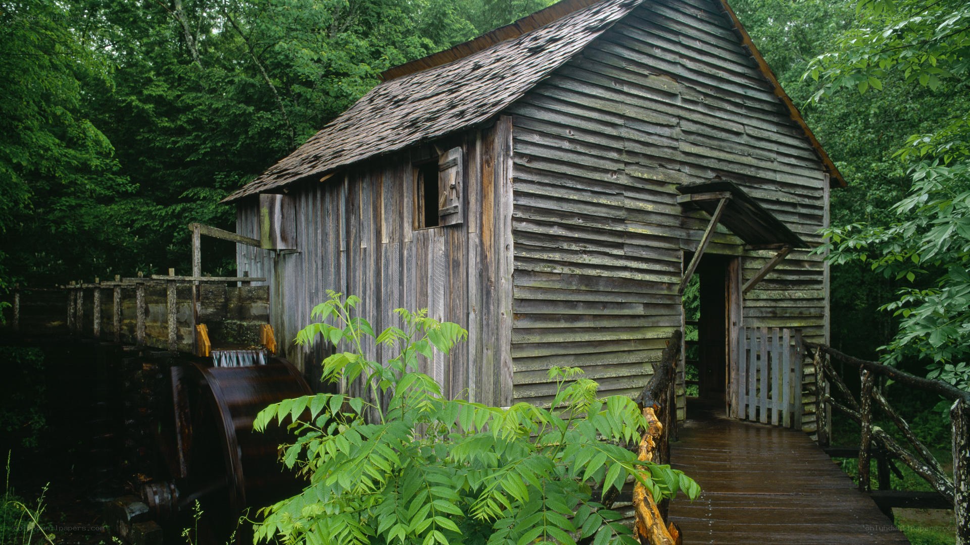 old wooden mill in forest