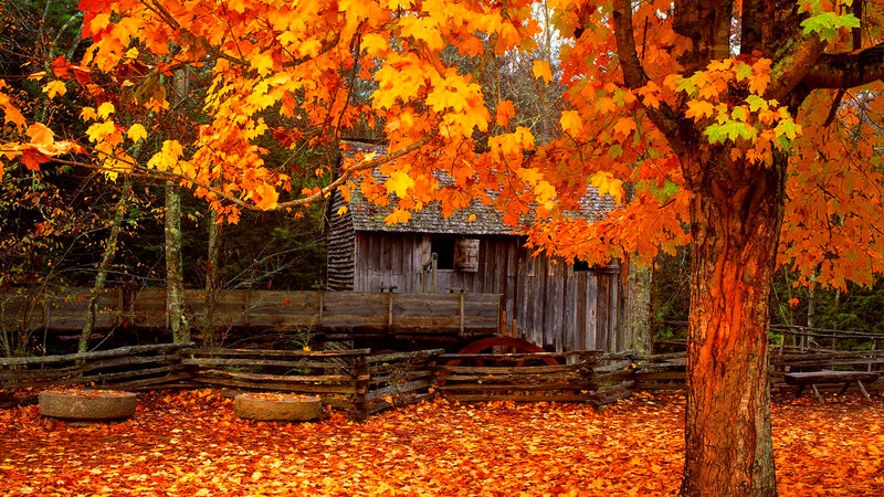 Old Wooden Mill — Orange
