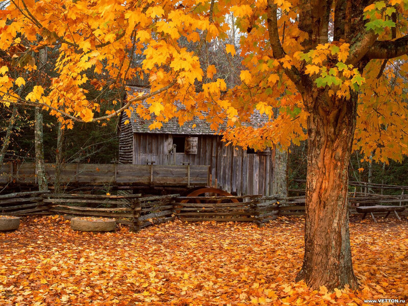 Old Wooden Mill