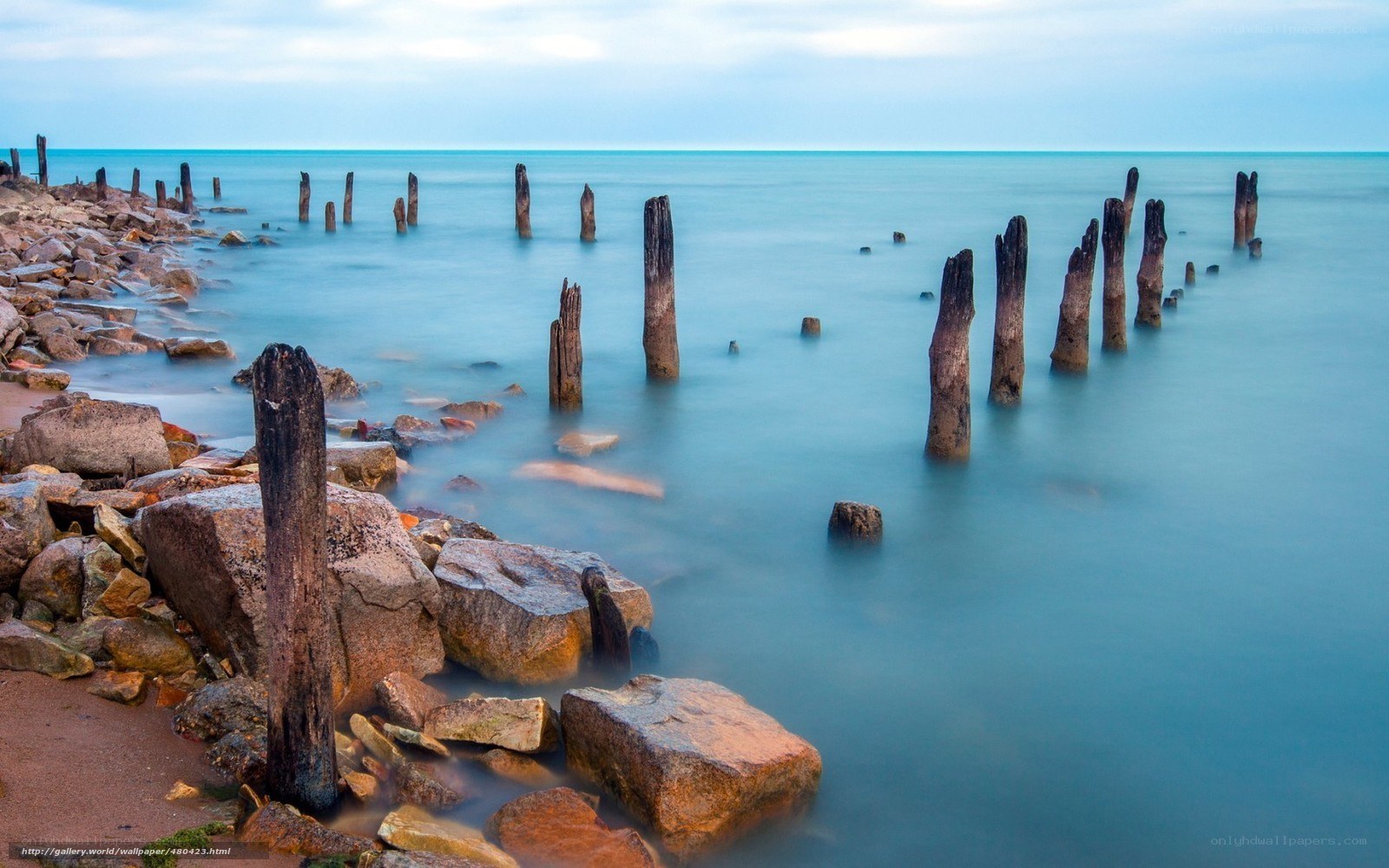Old wooden posts in calm sea