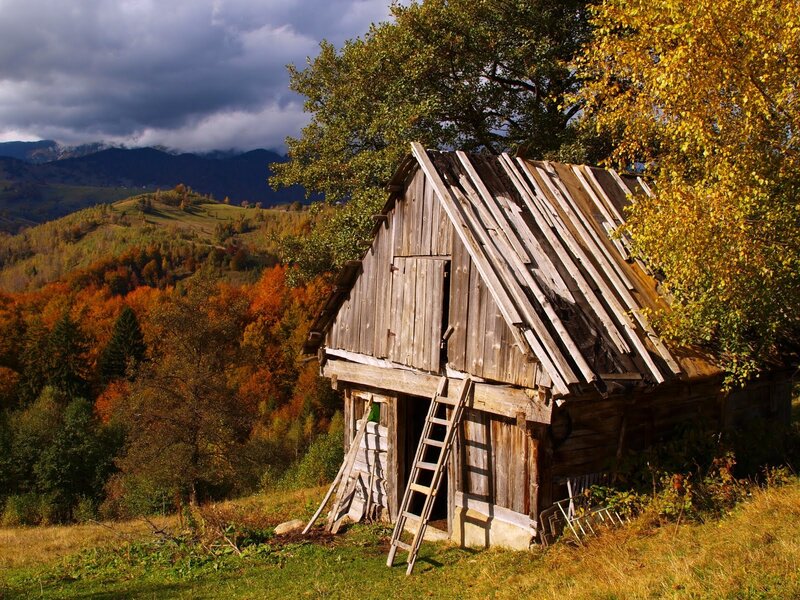 Old Wooden Shed — Brown
