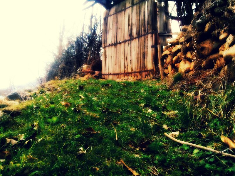 Old wooden shed in grassy area