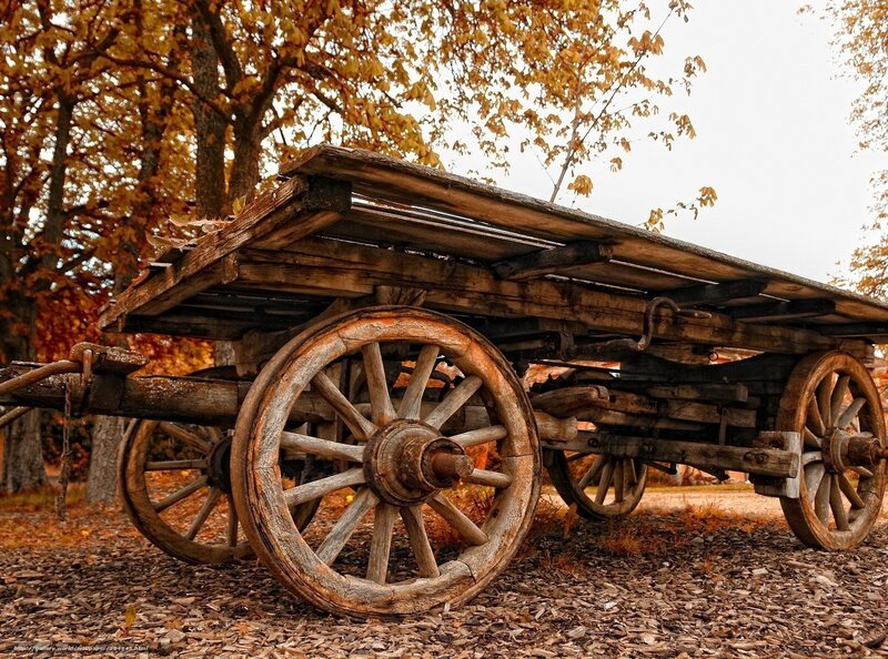 Old Wooden Wagon — Brown, Serene