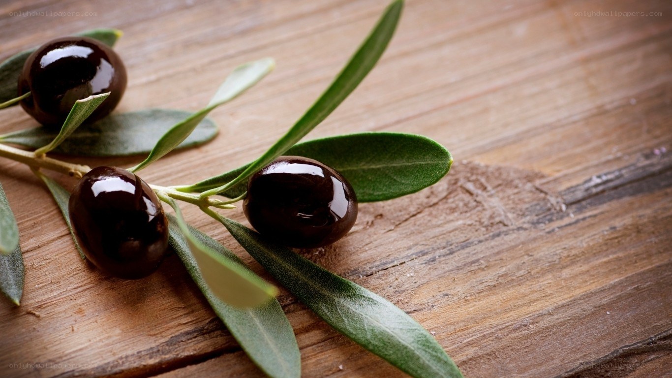 olive branch on wood