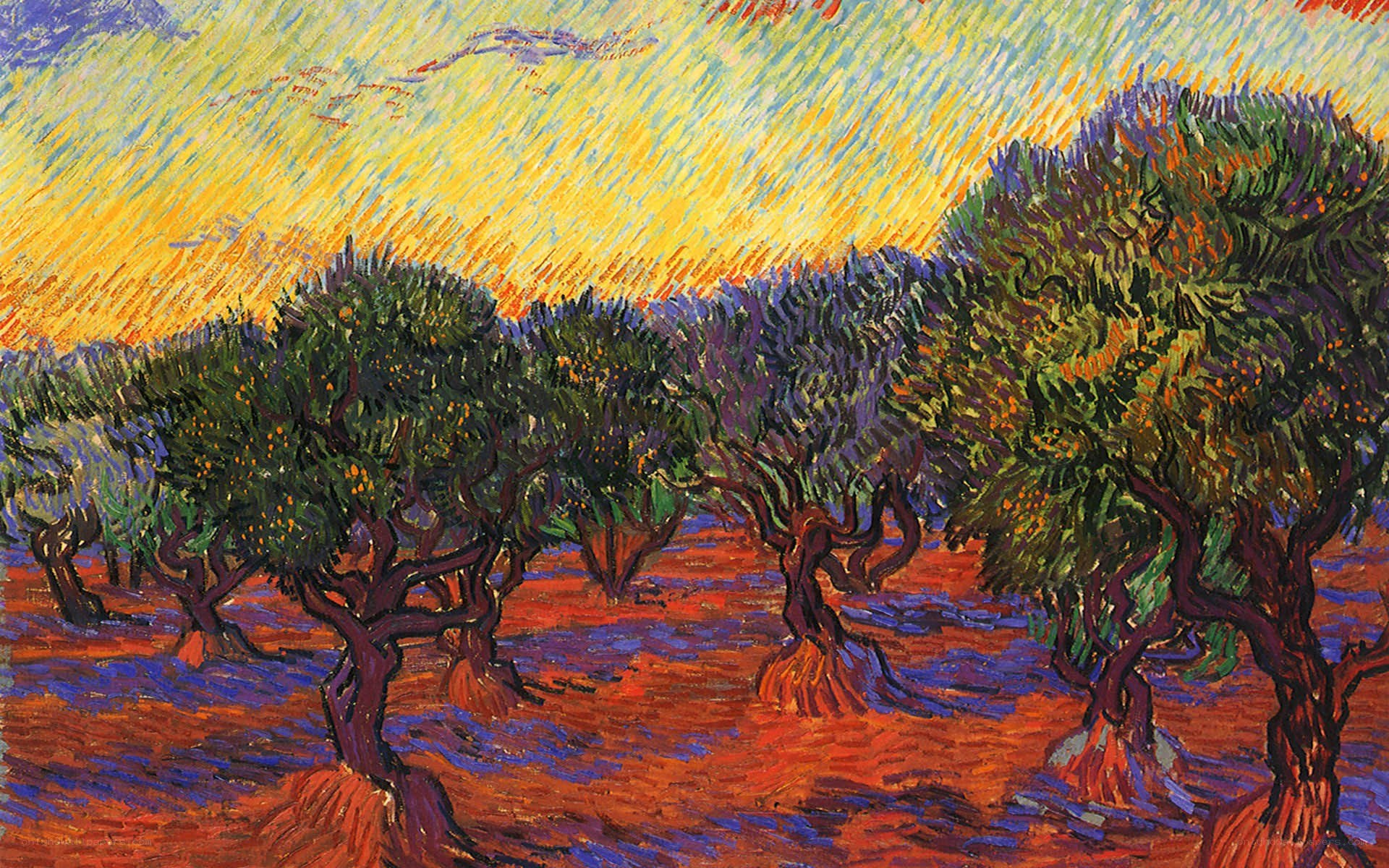 Olive Grove Under a Swirling Sky