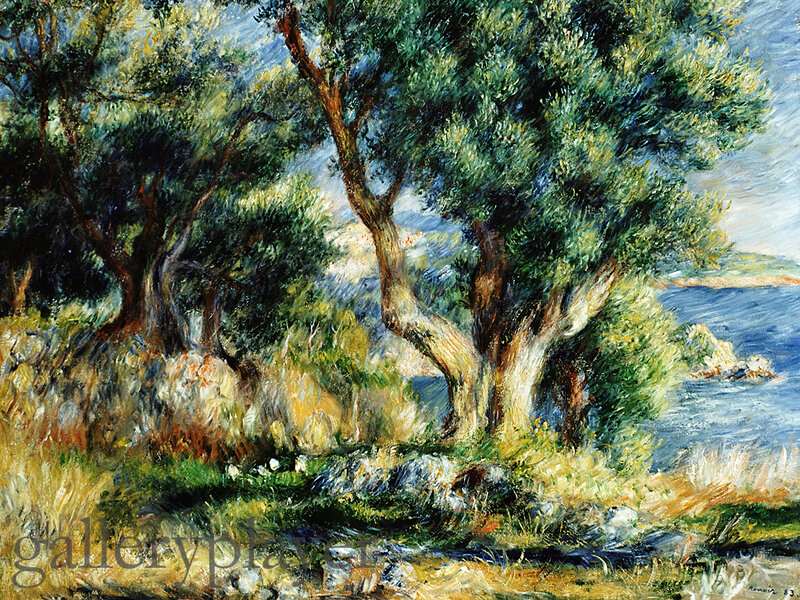 Olive Trees by the Sea