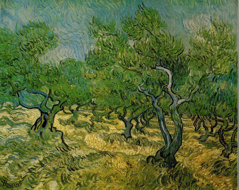 Olive Trees in a Landscape
