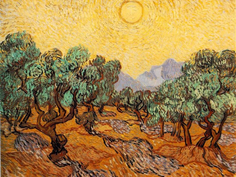 Olive Trees in Field — Yellow, Dramatic