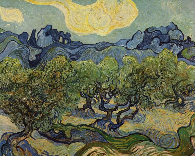 Olive Trees in Landscape