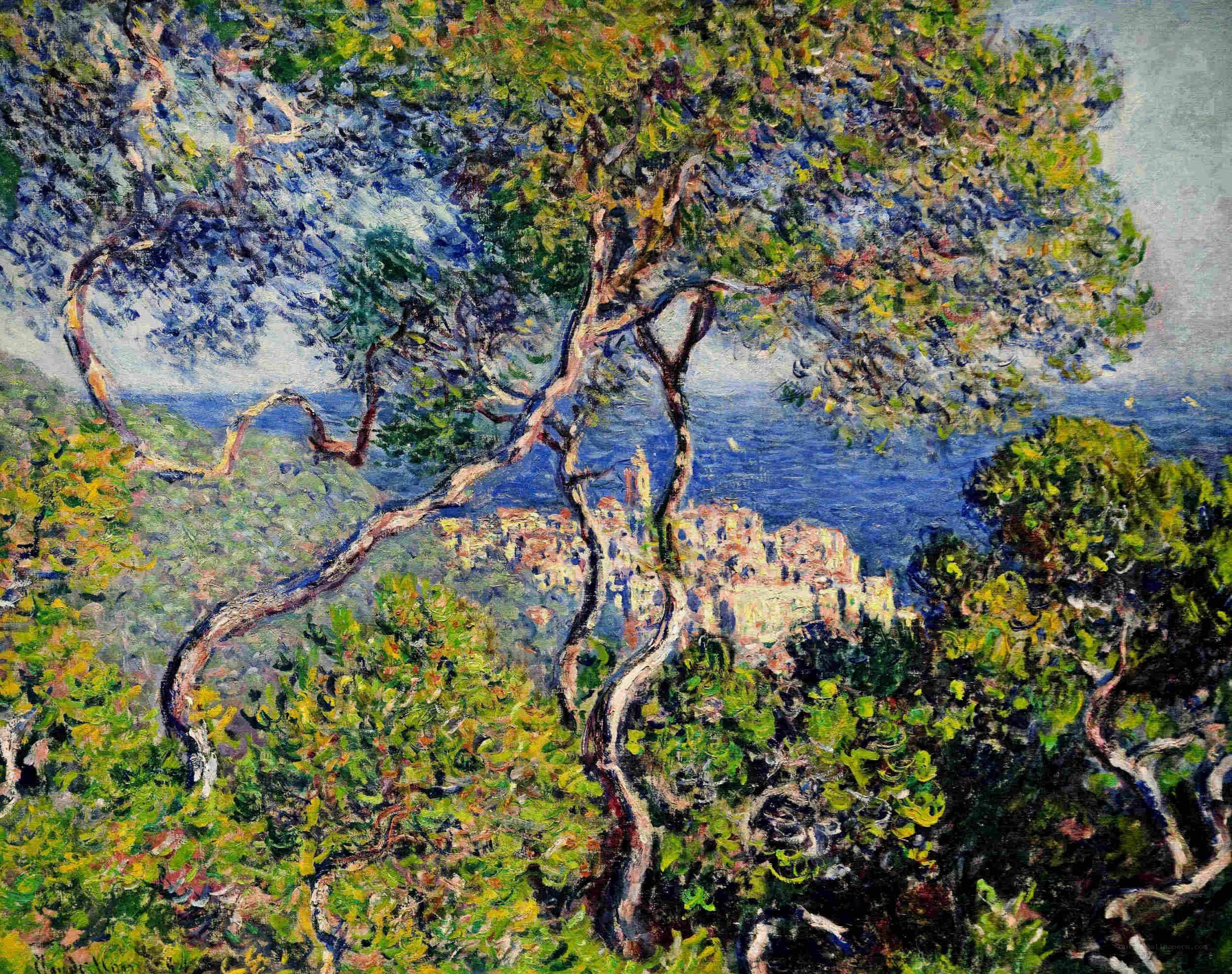 Olive Trees Overlooking a Coastal Town