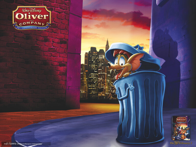 Oliver the Cat in Trash Can