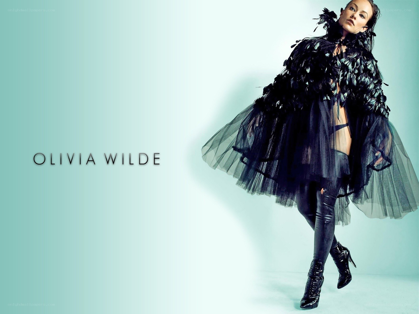 Olivia Wilde fashion portrait