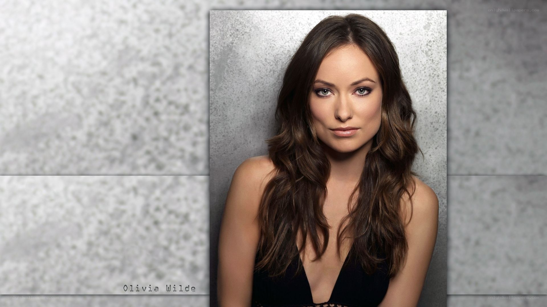 Olivia Wilde portrait