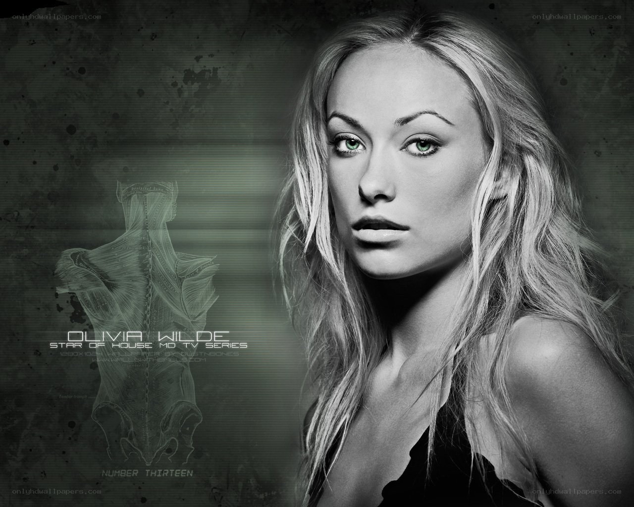 Olivia Wilde promotional portrait