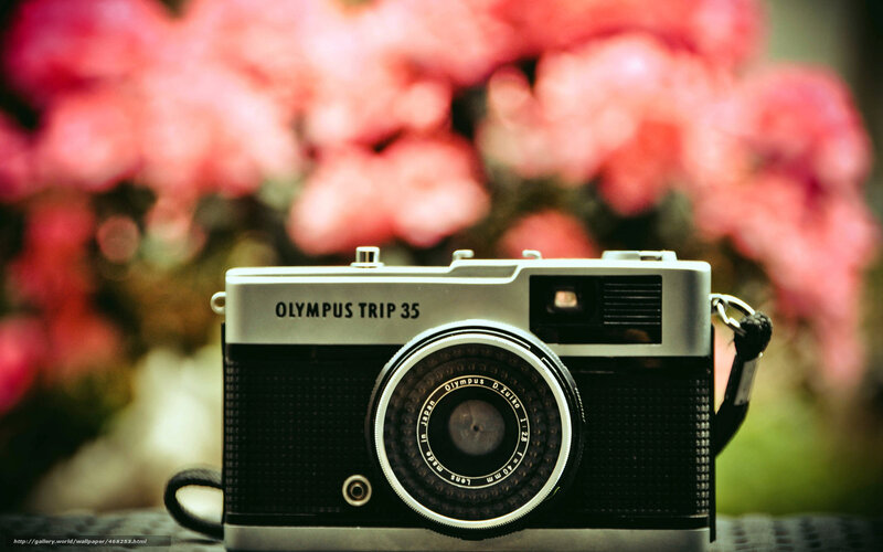 Olympus Trip 35 camera