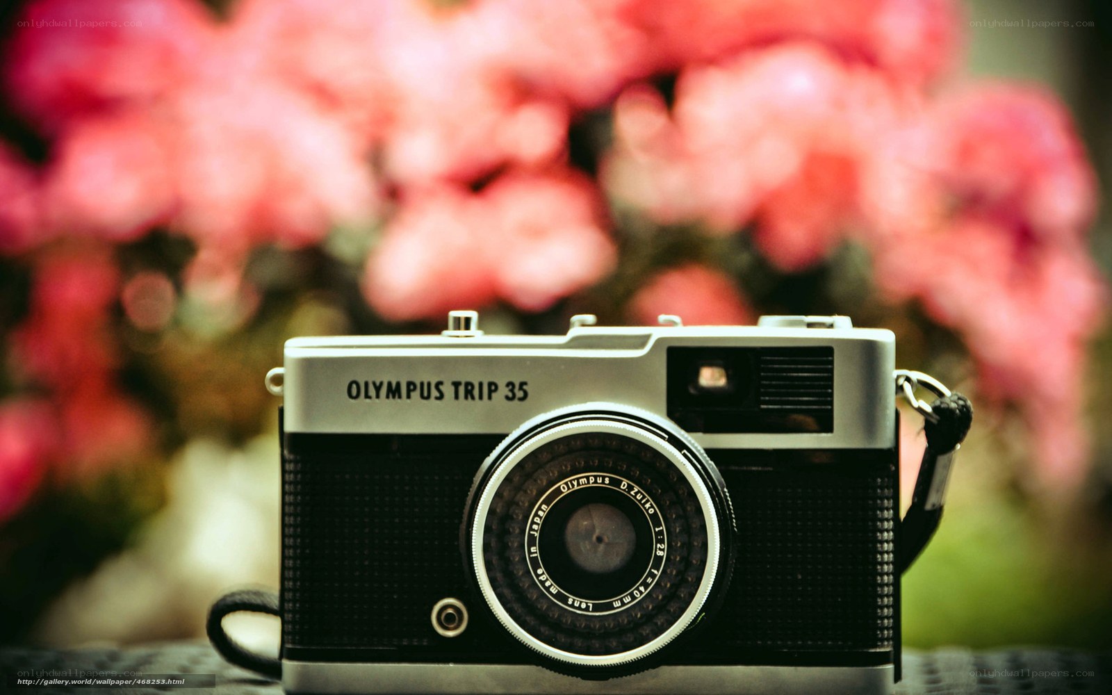 Olympus Trip 35 camera