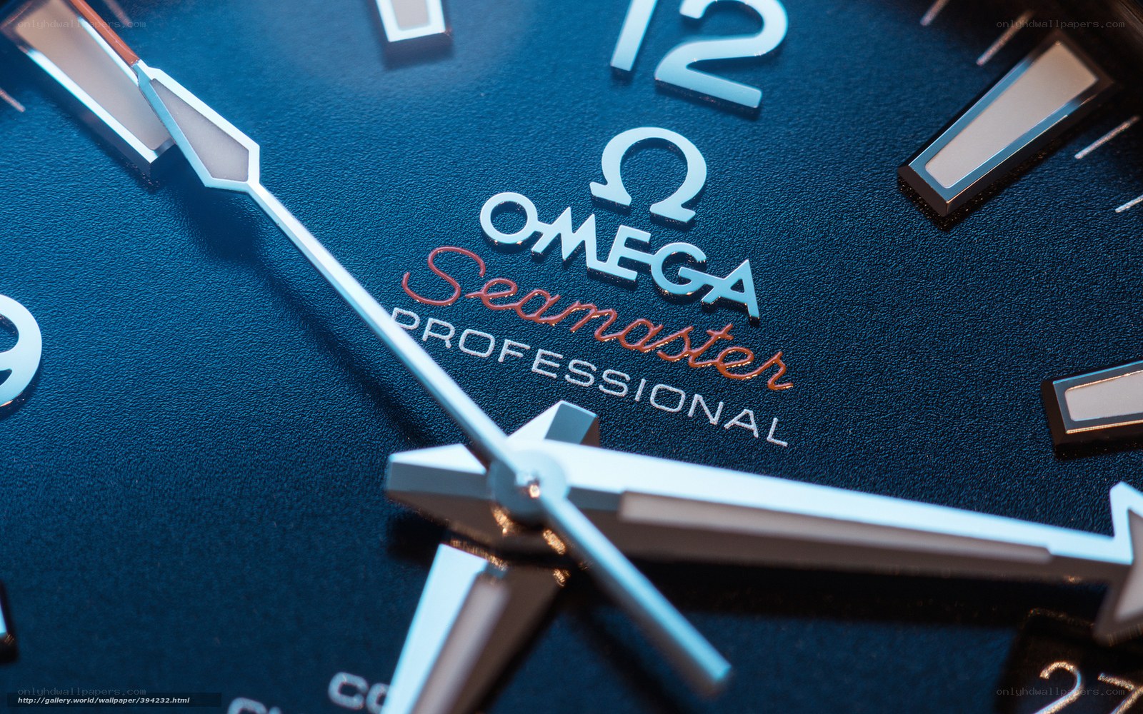 Omega Seamaster Professional watch face