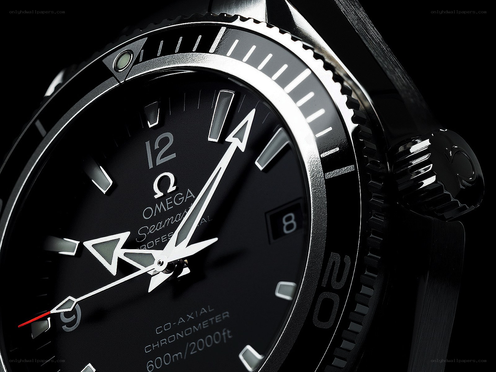 Omega Seamaster watch