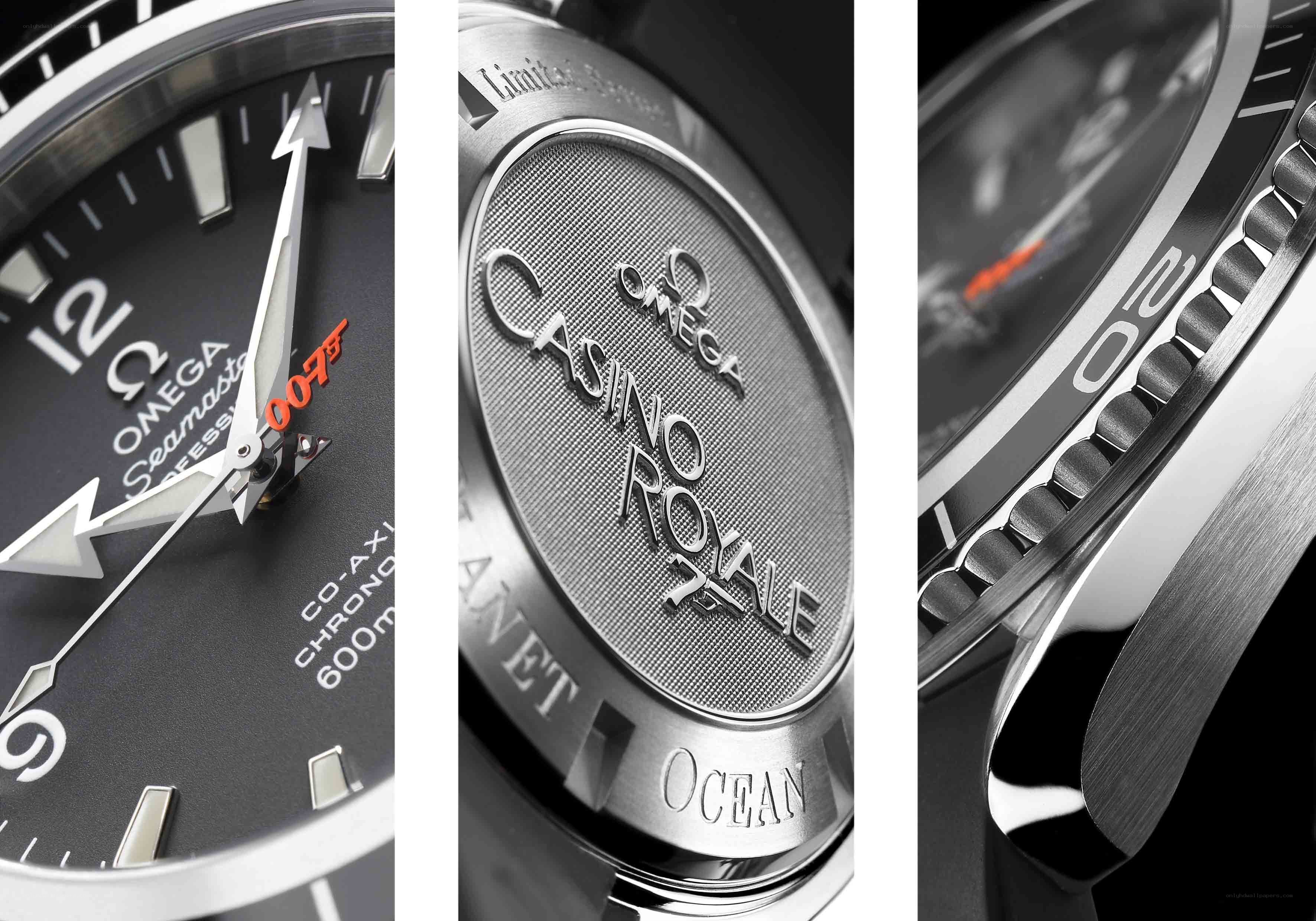 Omega Seamaster watch details