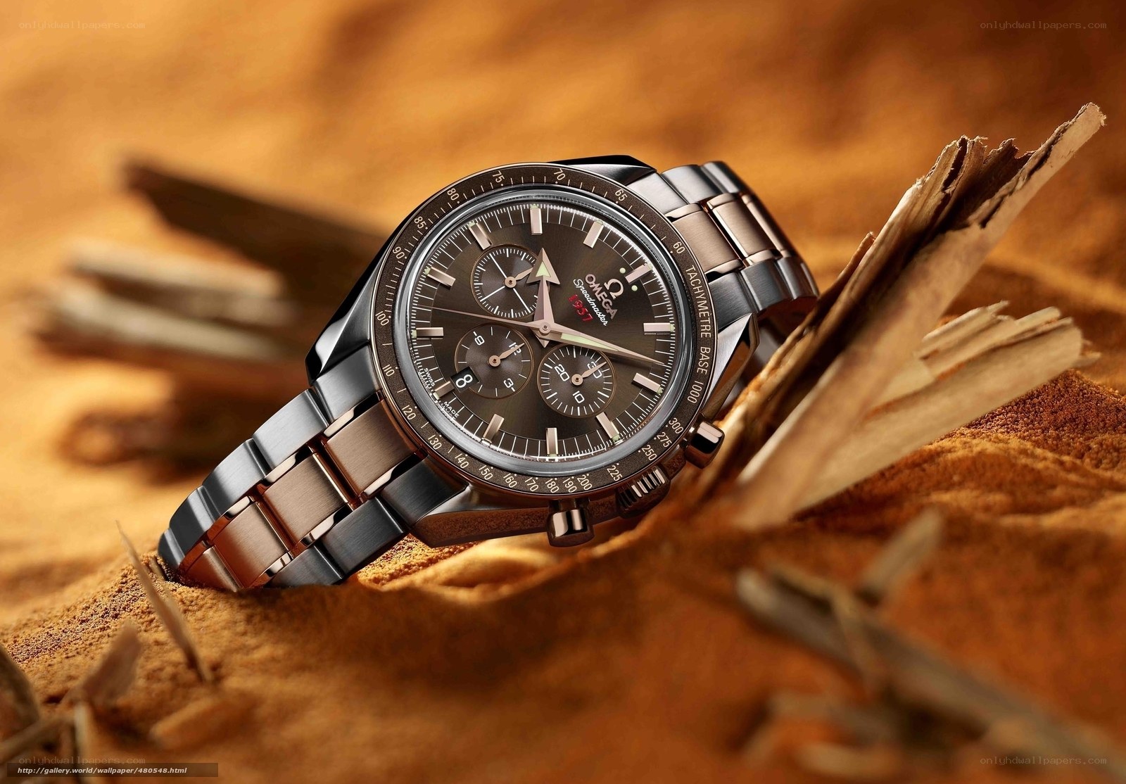 Omega Speedmaster watch in desert
