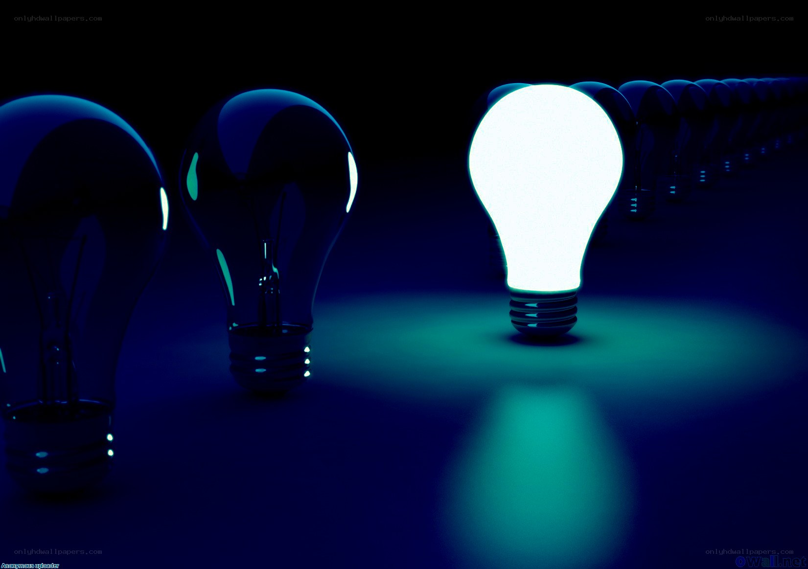 One Light Bulb Lit Among Others