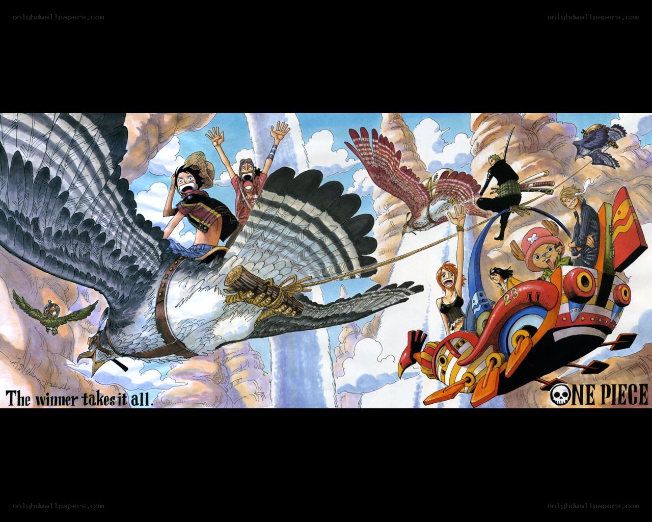 One Piece air battle scene