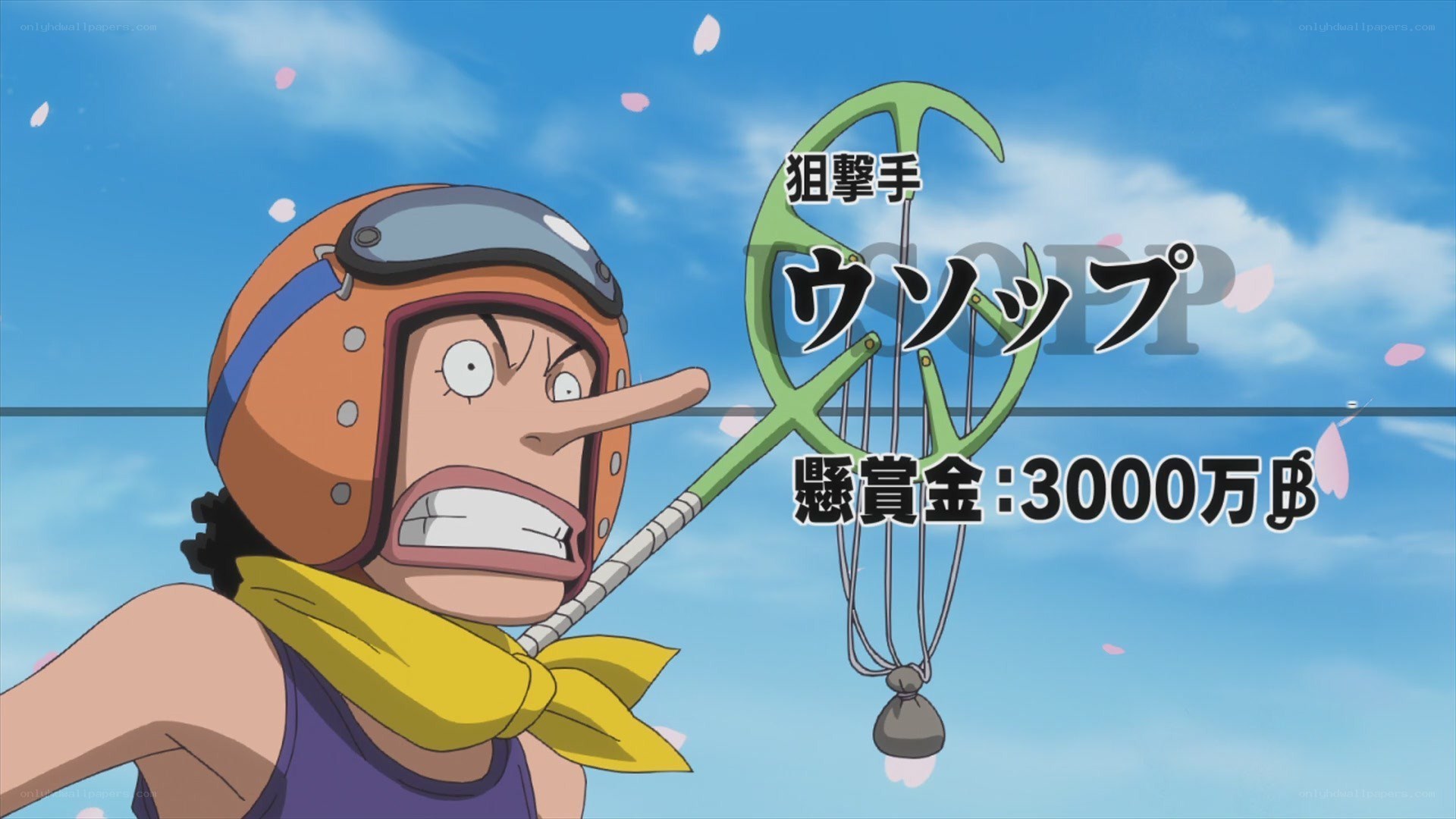 One Piece bounty poster