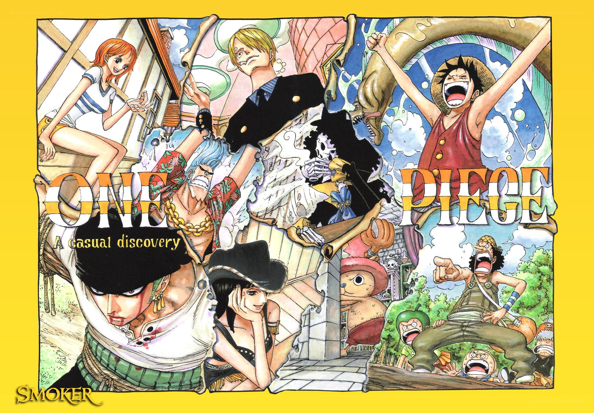 One Piece casual discovery