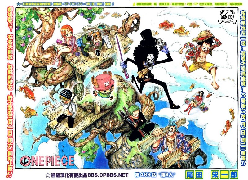 One Piece Chapter 489 Cover