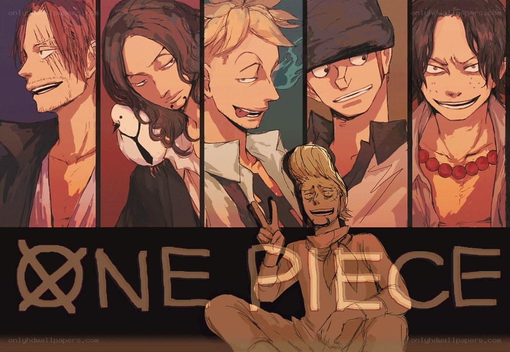 One Piece character collage