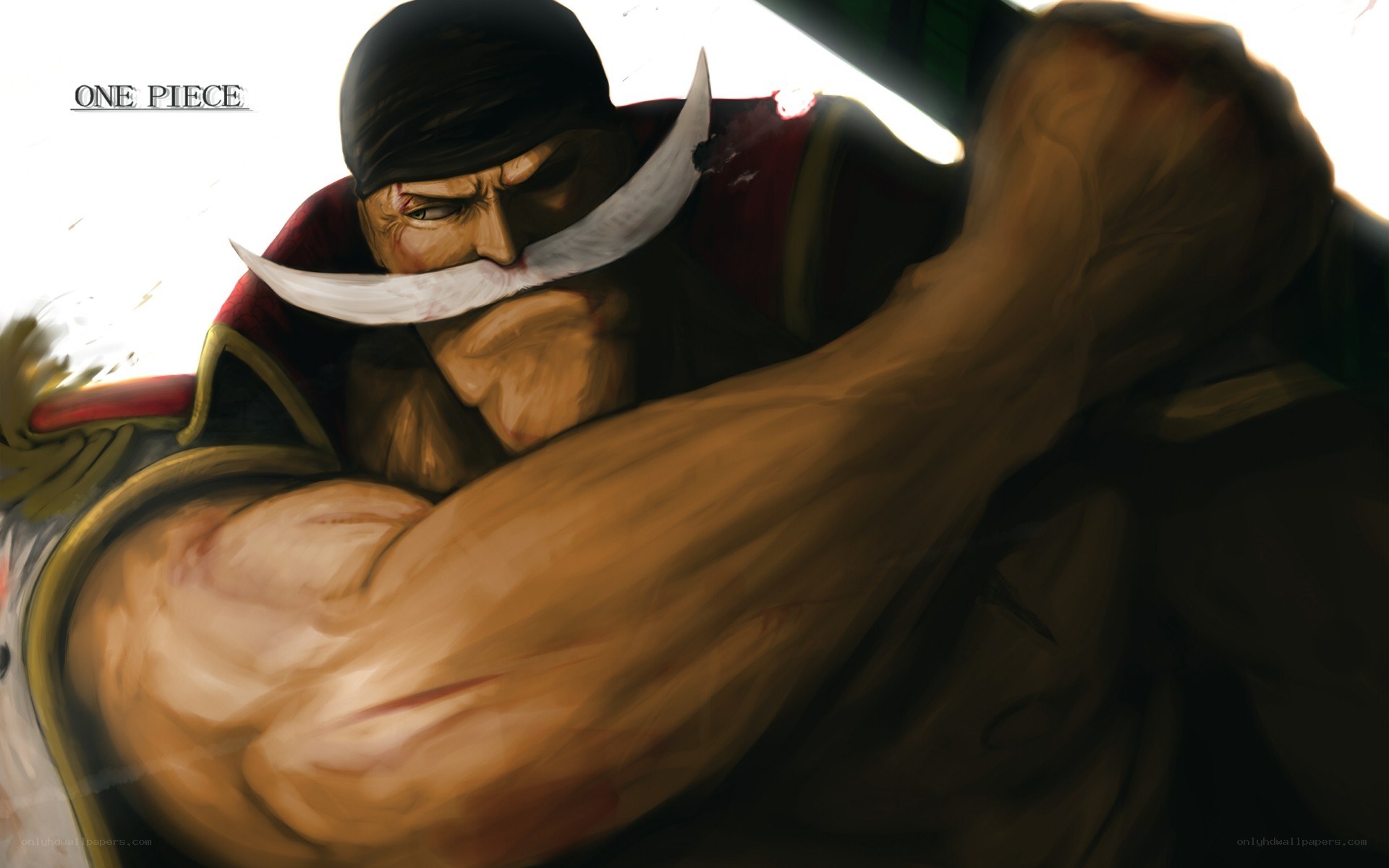 One Piece character in action