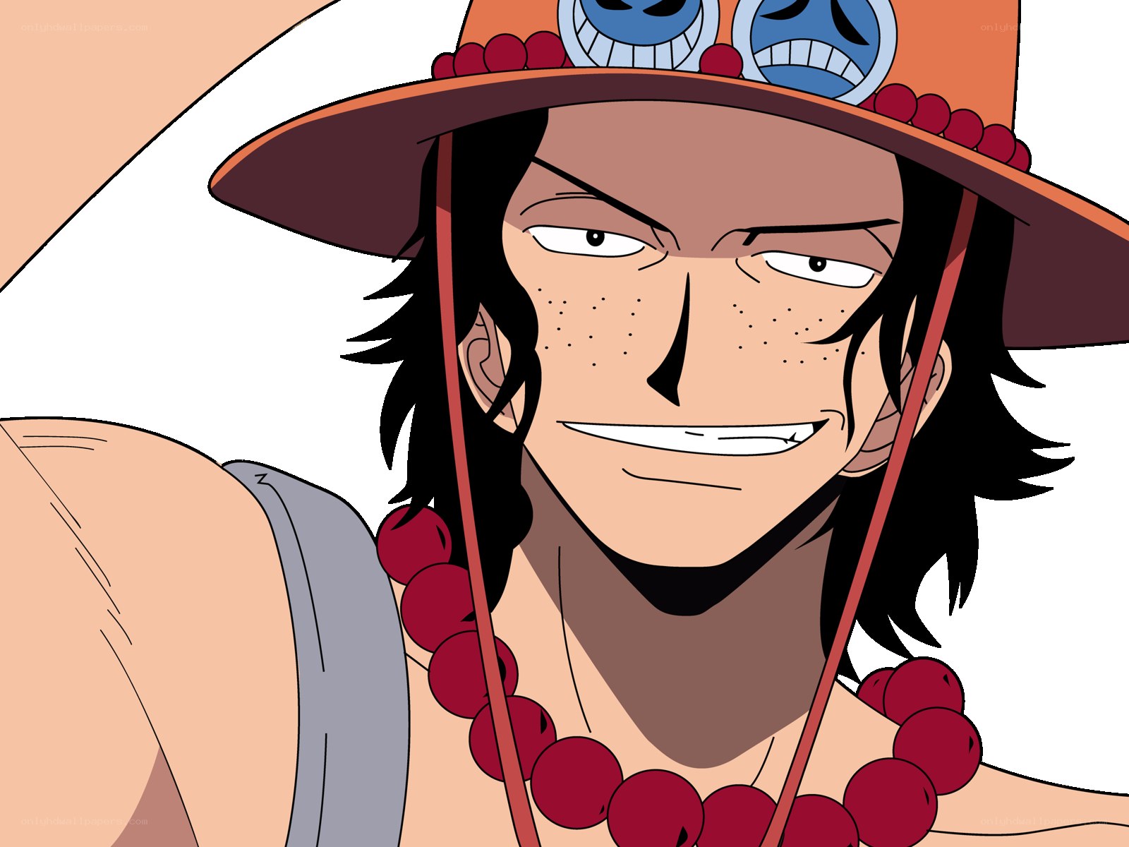 One Piece character portrait
