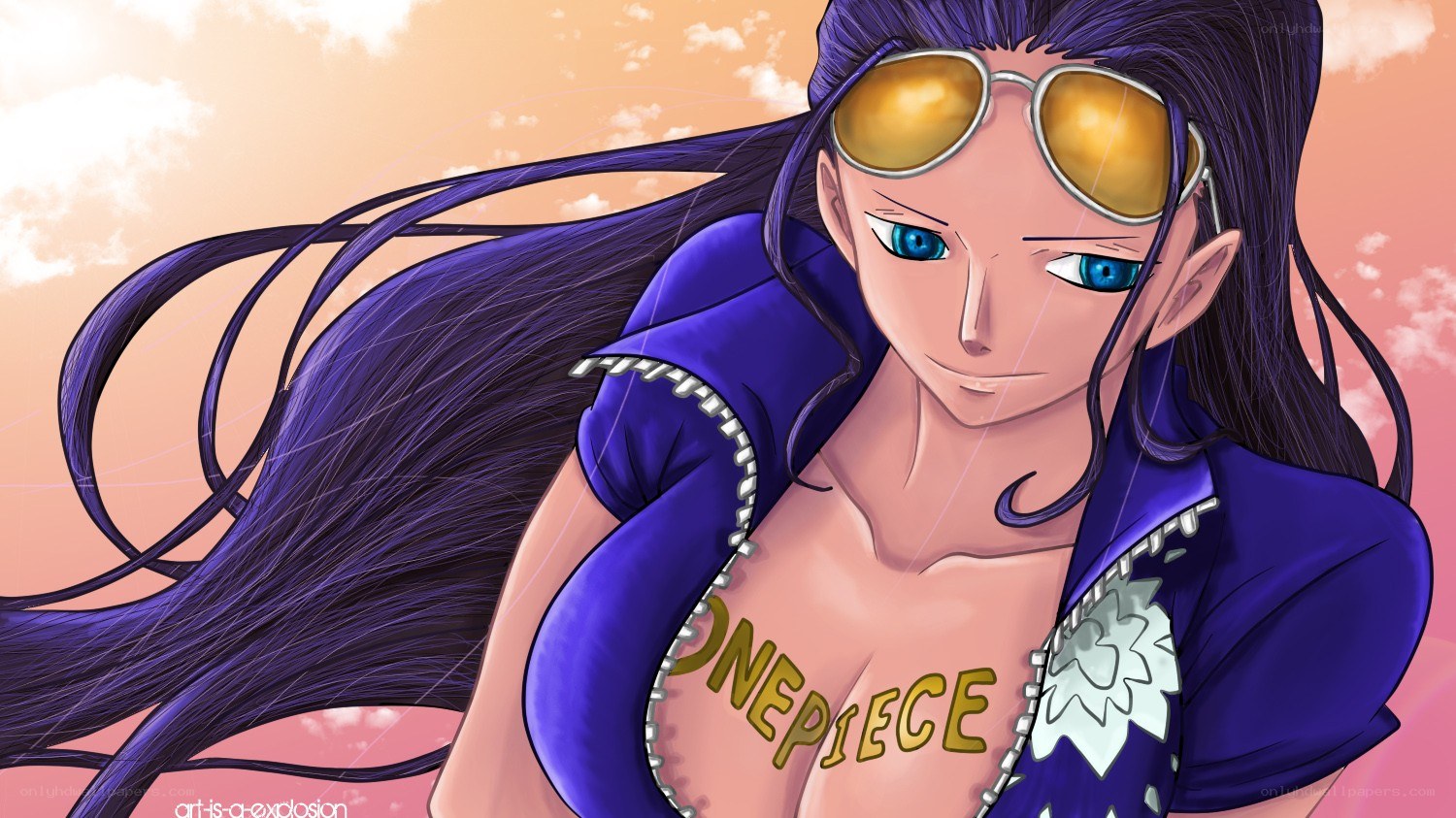 One Piece character portrait