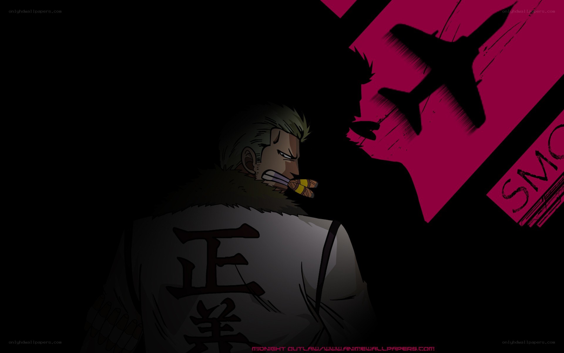 One Piece character with airplane