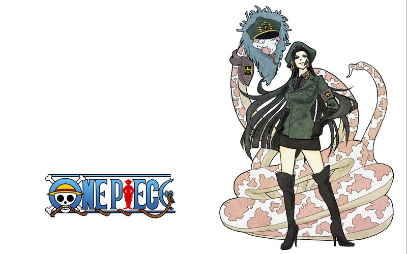One Piece characters illustration