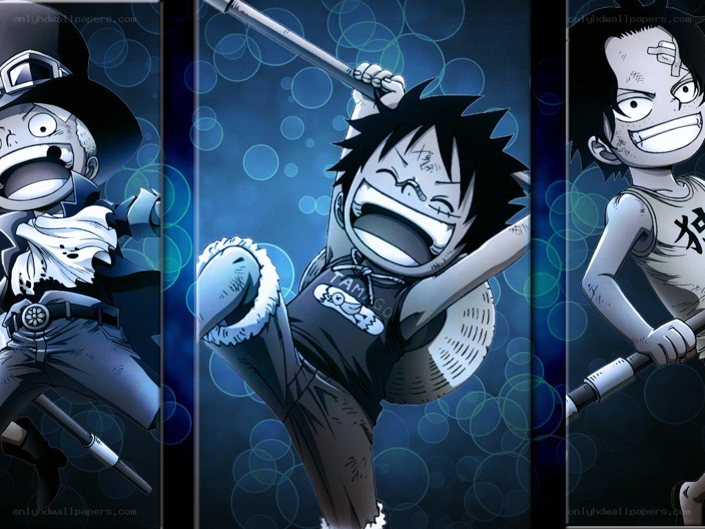 One Piece characters in action