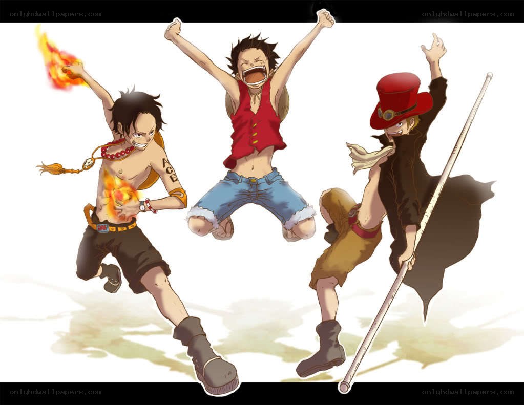 One Piece characters in action