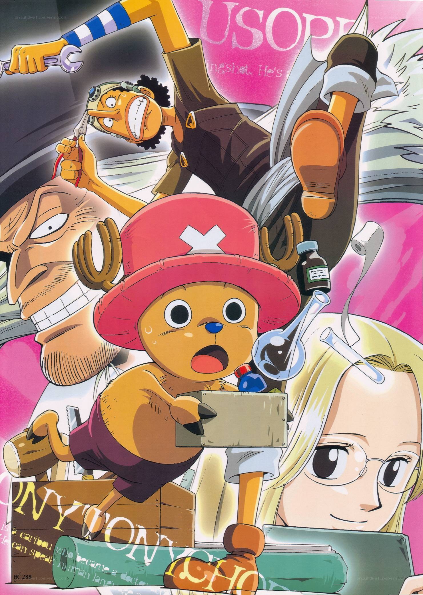 One Piece crew action scene