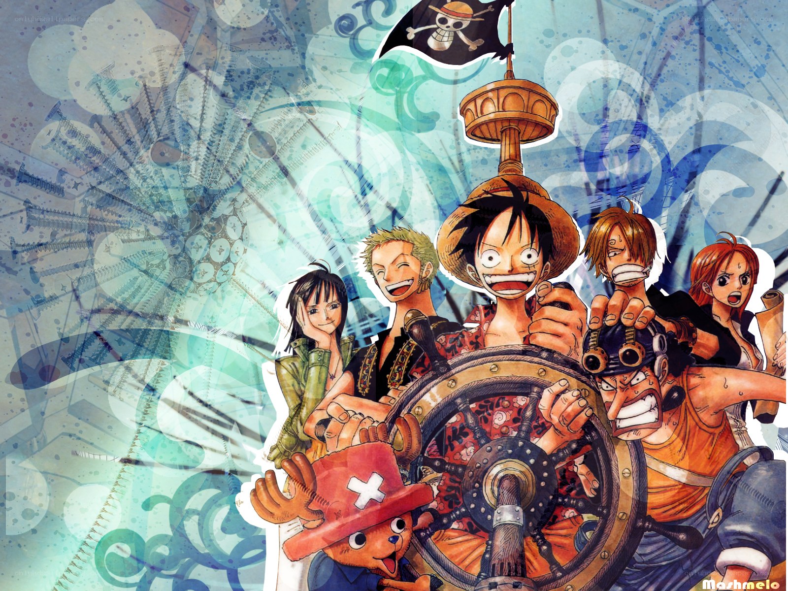 One Piece crew at the helm