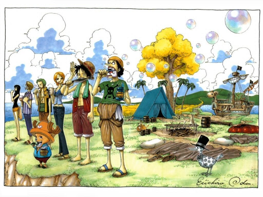 One Piece crew camping