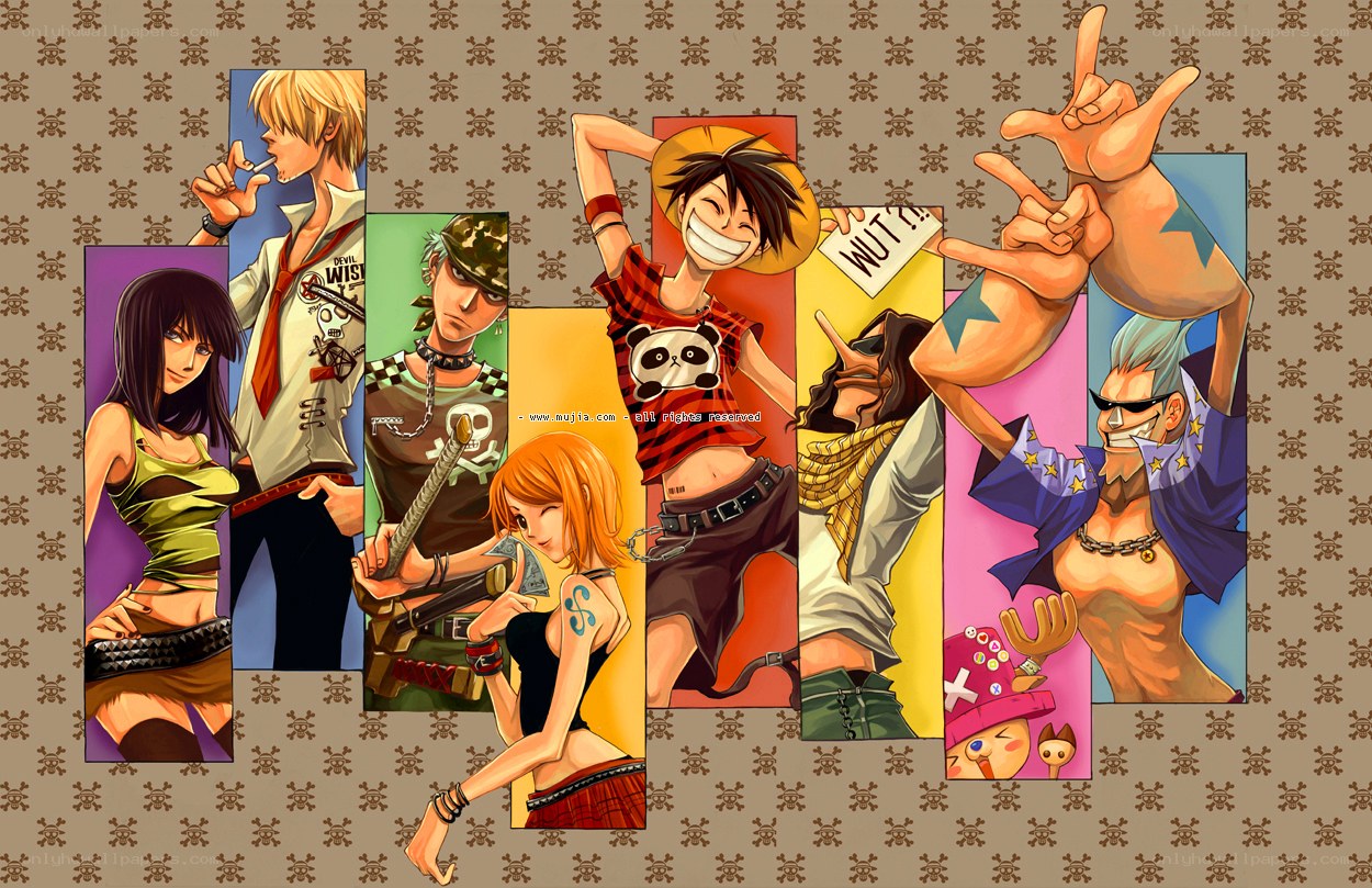 One Piece crew collage