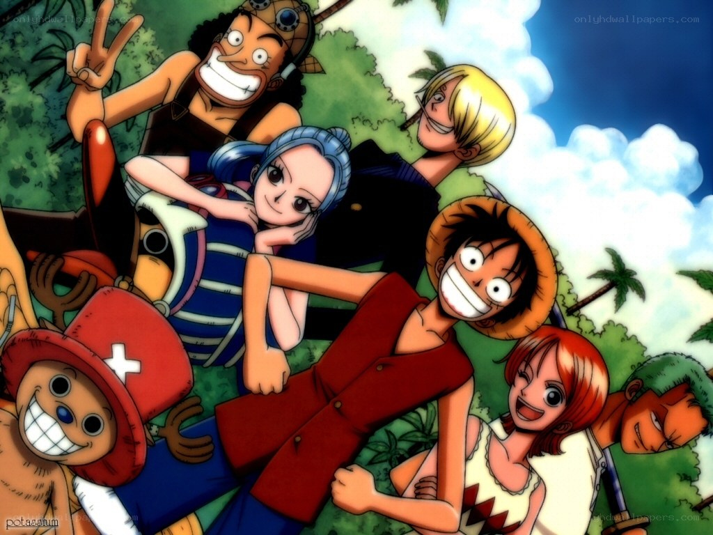 One Piece crew group photo