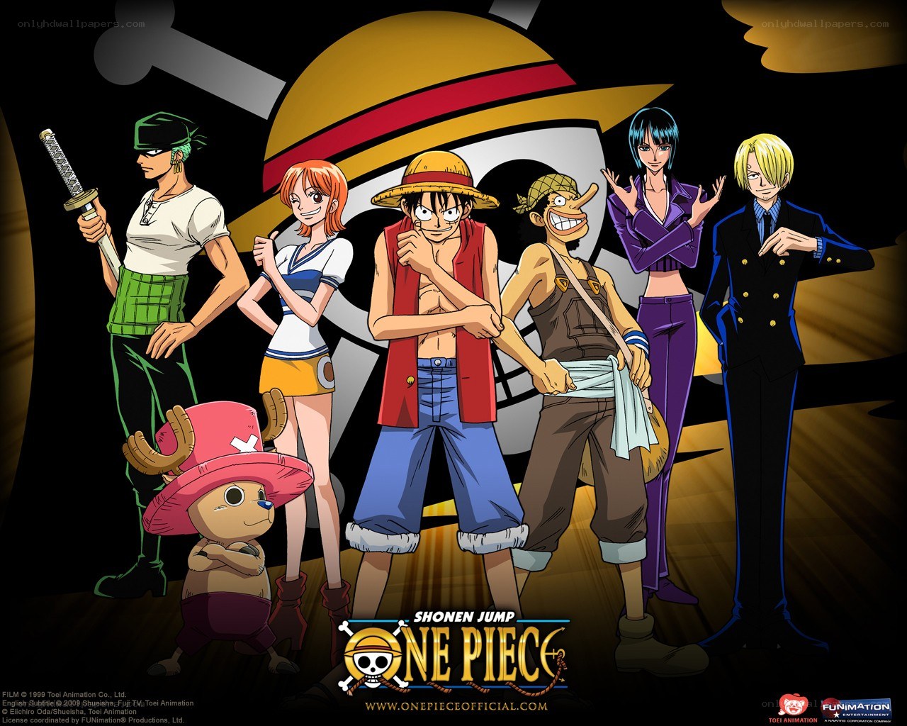 One Piece crew group portrait