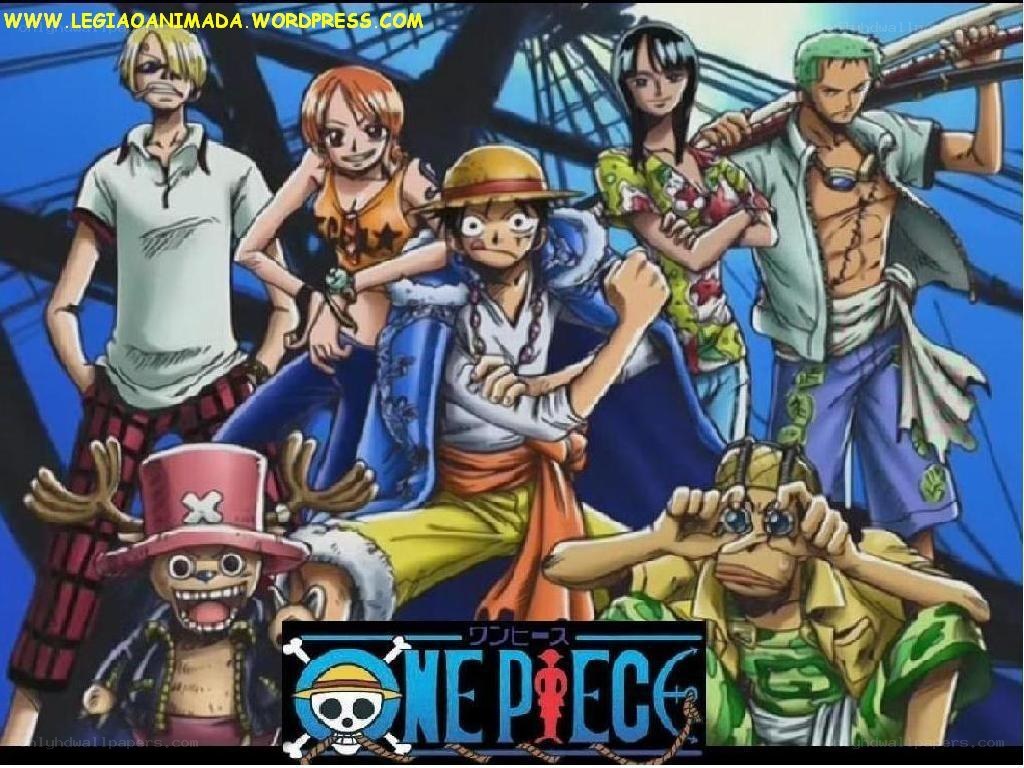 One Piece crew group portrait
