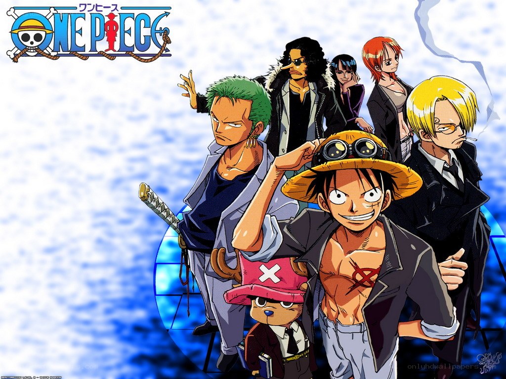 One Piece crew group portrait